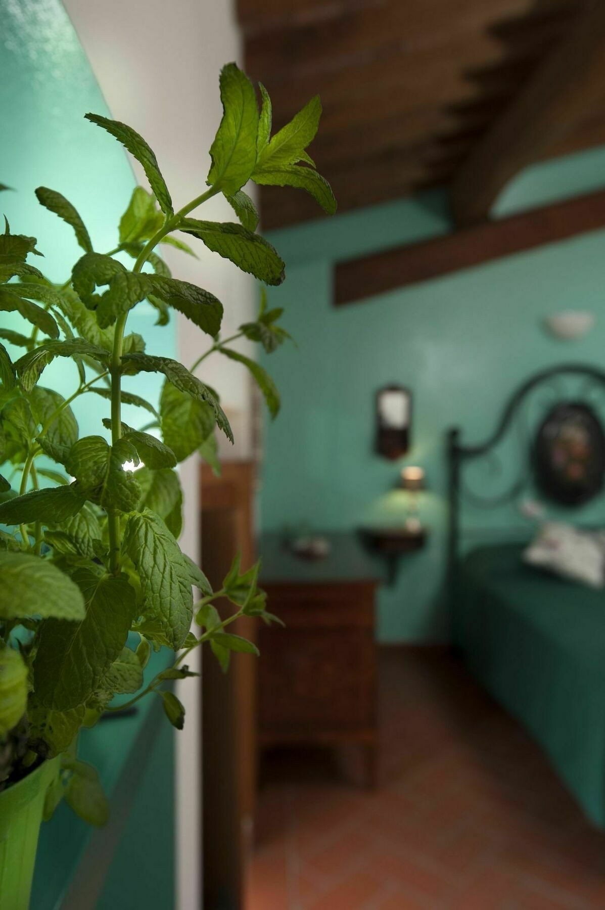 Antico Granaione Bed & Breakfast Раполано Терме Екстериор снимка